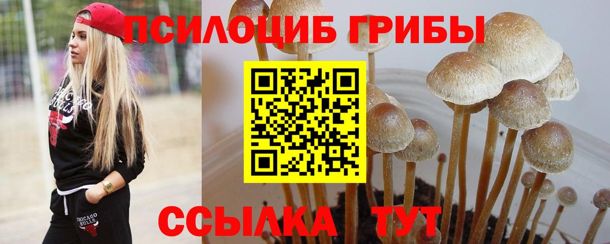 Купить наркотики цена  АМФЕТАМИН кристаллы  A-PVP СК кристаллы  Метадон  NBOMe  Куйбышев  Бошки Шишки  Вход с VPN  Гашиш  Cocaine  МЕФ  Меф МЯУ МЯУ  