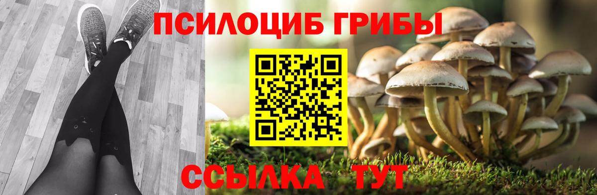 Куйбышев  Псилоцибиновые грибы Psilocybine cubensis  Вход с VPN  Псилоцибиновые грибы GOLDEN TEACHER 